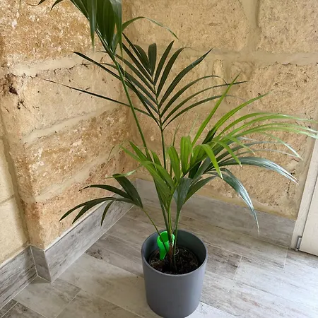 Largo Spani 15 ヴェーリエ