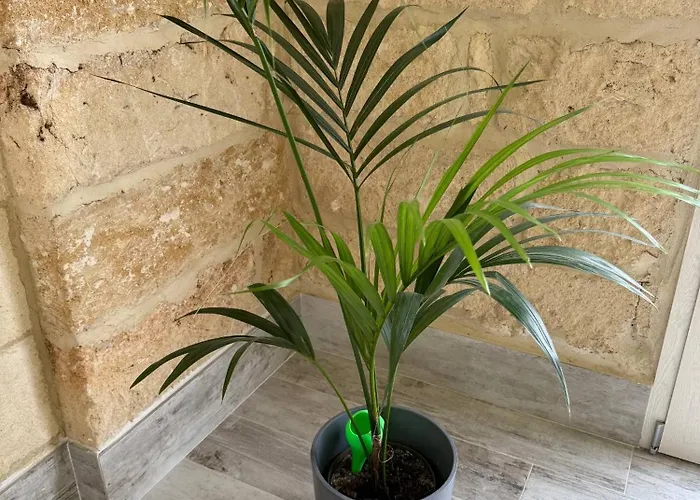 Largo Spani 15 Велье