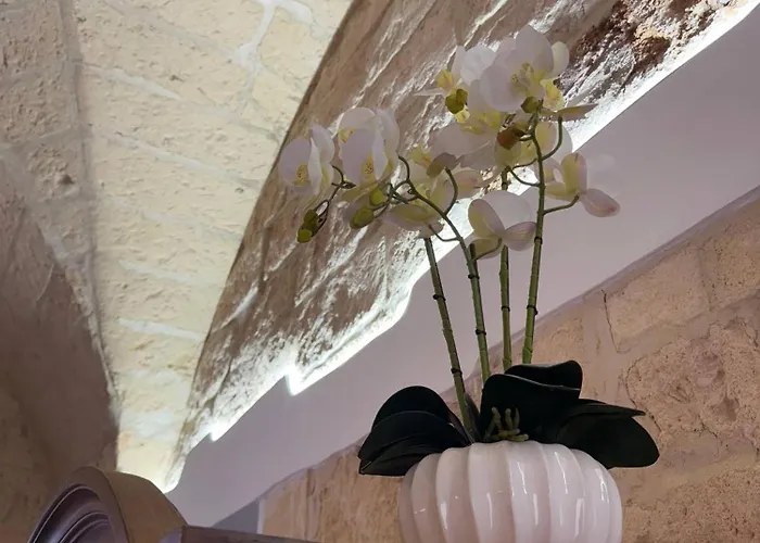 Largo Spani 15 Велье